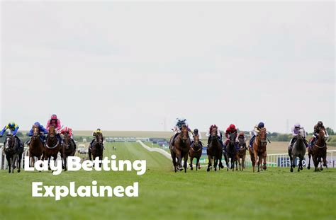 lay betting strategy - A beginner’s guide to lay betting 